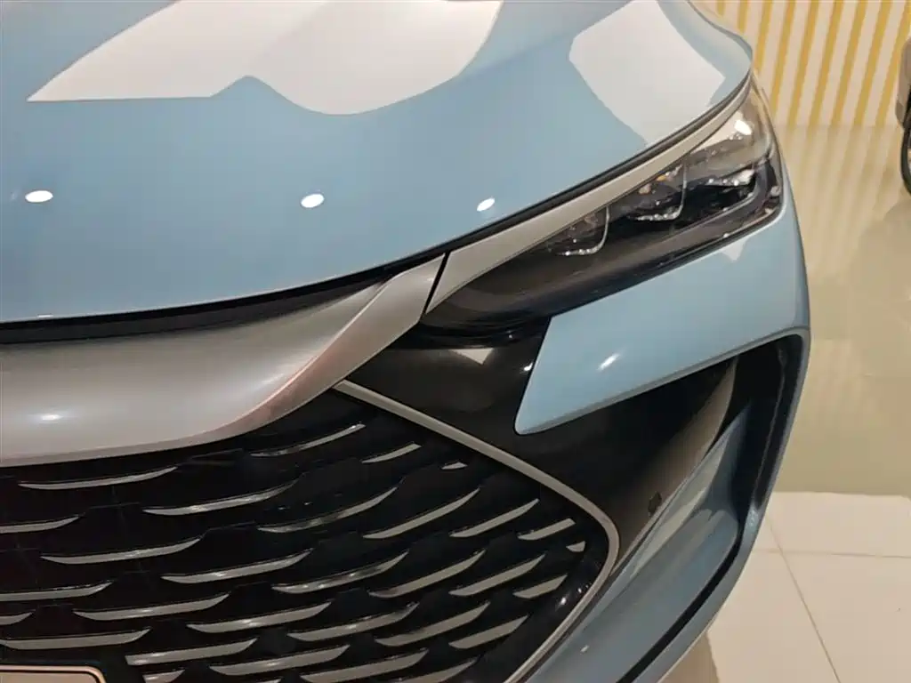 BYD Tang New Energy 2024 DM-p Champion Edition 215KM AWD Flagship фото 24