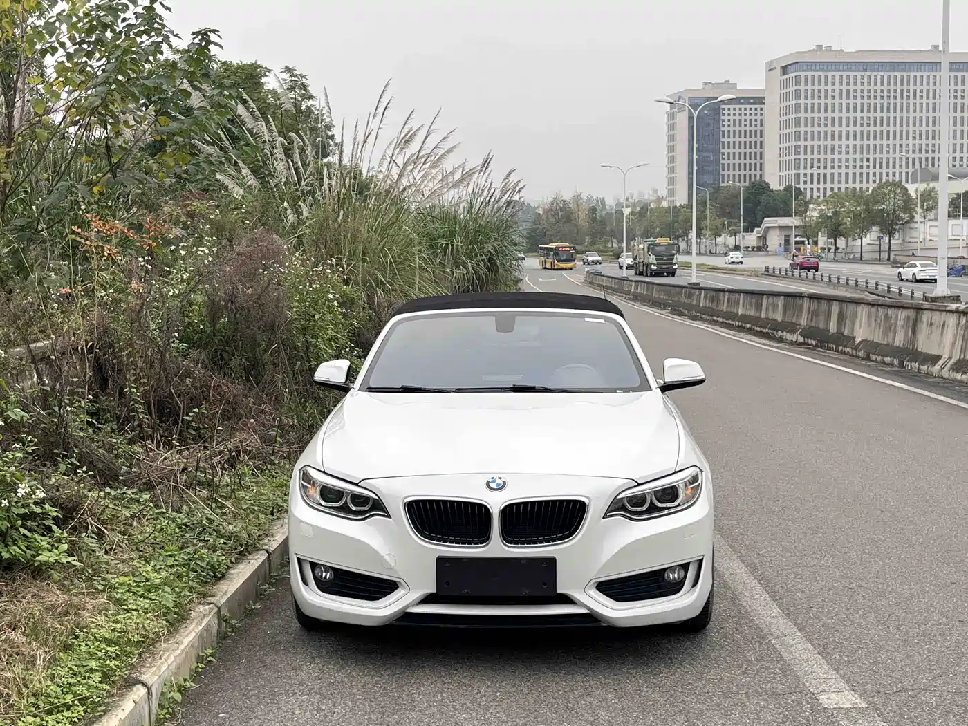 BMW 2 Series (Import) 2015 218i Convertible Coupe фото 2