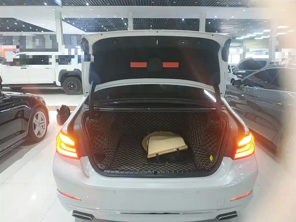 BMW 5 Series 2019 525Li Luxury Package фото 19