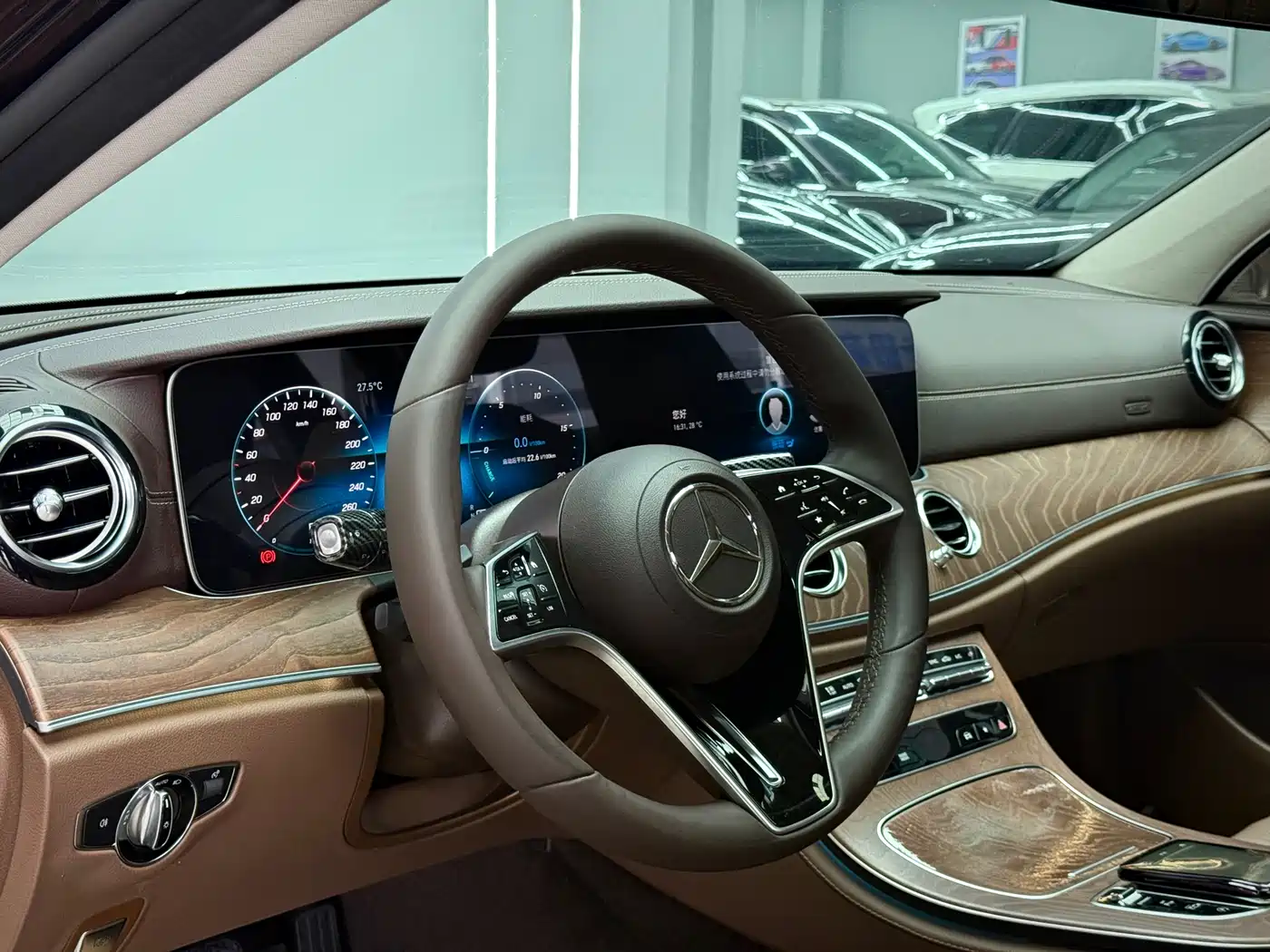 Mercedes-Benz E-Class 2023 E 300 L Luxury фото 9
