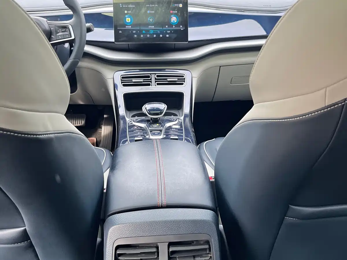 BYD Qin PLUS 2021 DM-i 55KM Premium фото 12