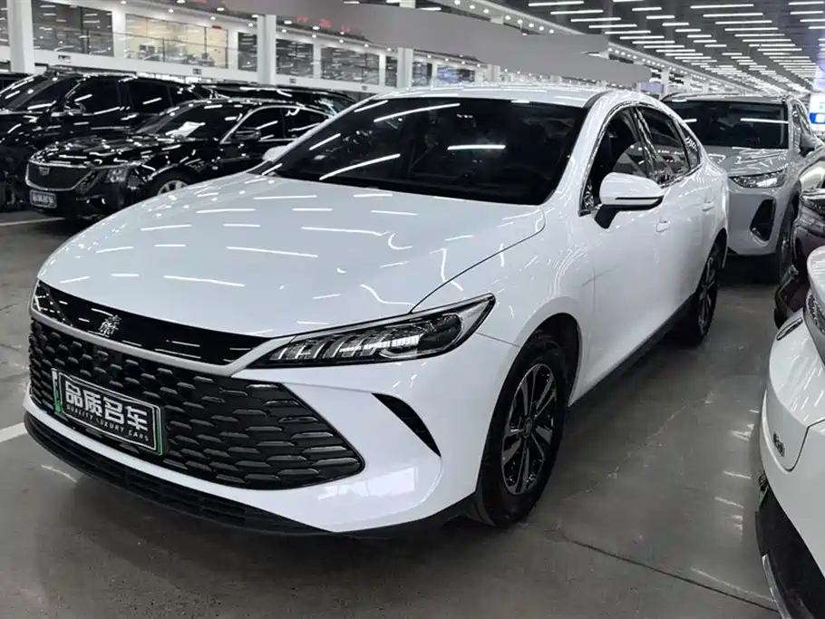 BYD Qin PLUS 2025 DM-i Smart Drive 55KM Leader