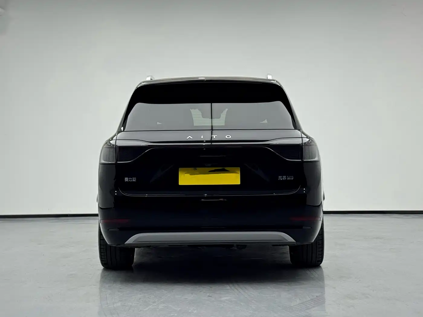 AITO Wenjie AITO M9 2024 Range Extender Ultra 52kWh 6-seater фото 6
