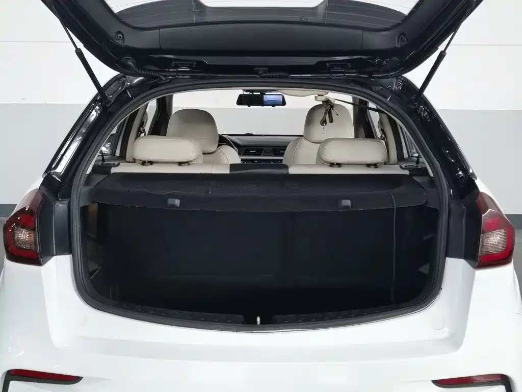 Ruilan Auto Maple 30X 2020 2020 Elegance Edition
