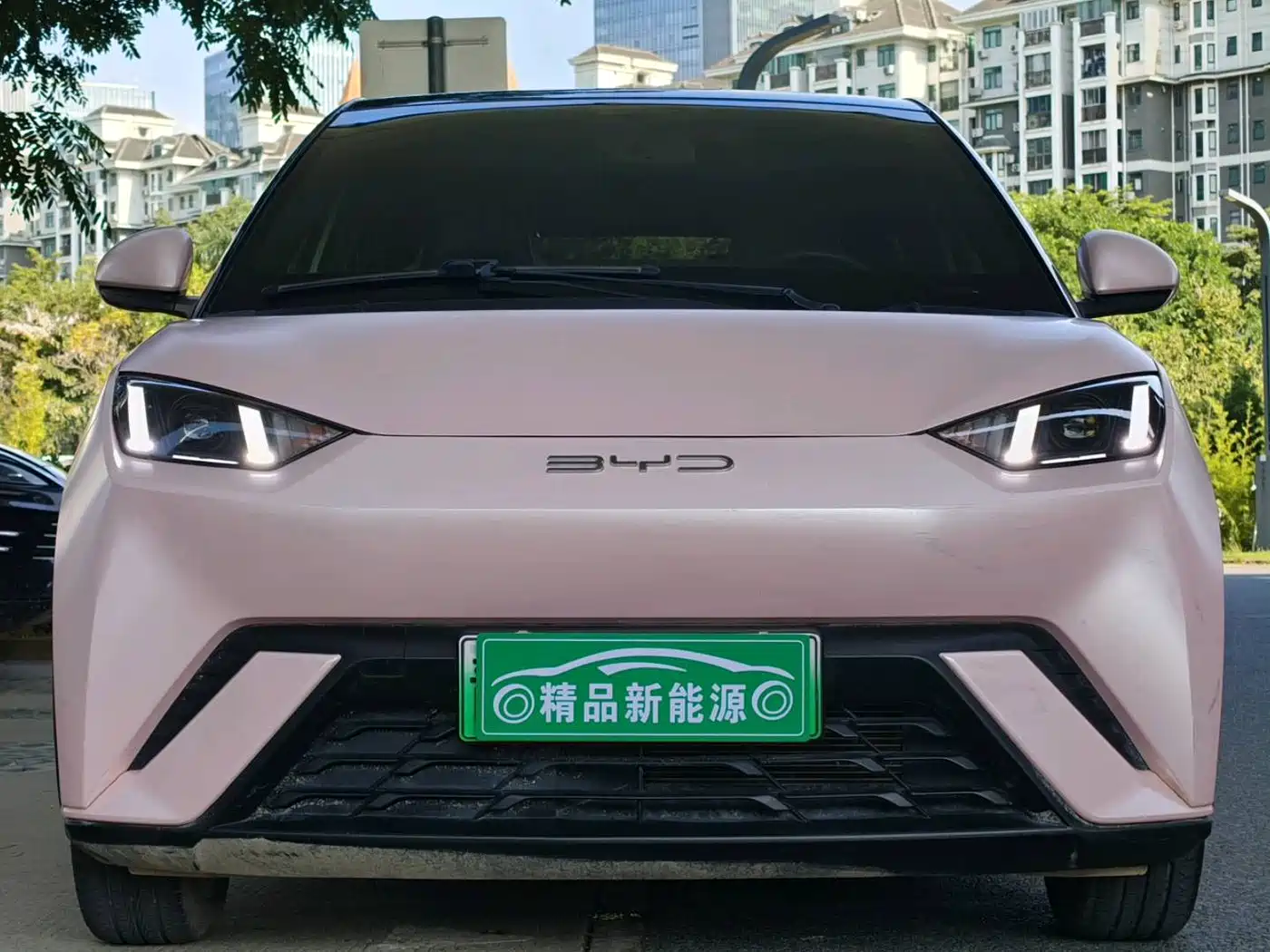 BYD Seagull 2023 Freedom Edition фото 2
