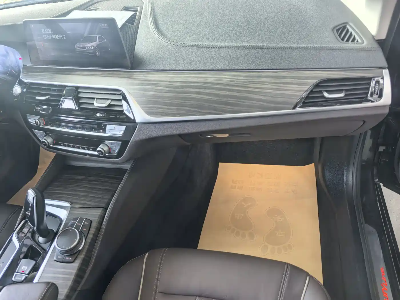 BMW 5 Series 2019 530Li Leading Luxury Package фото 20