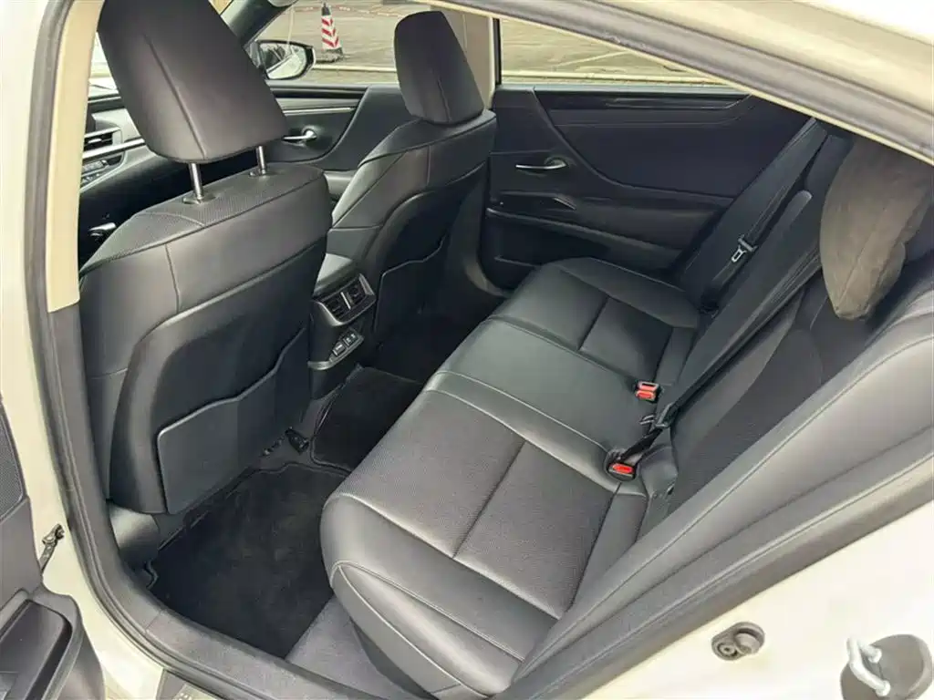 Lexus ES 2018 300h Excellence Edition China VI фото 14