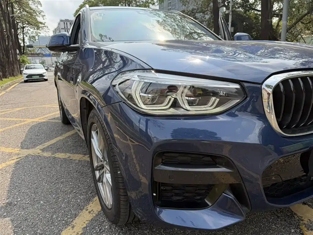 BMW X3 2018 xDrive25i M Sport Package China VI фото 19