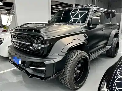 Tank 300