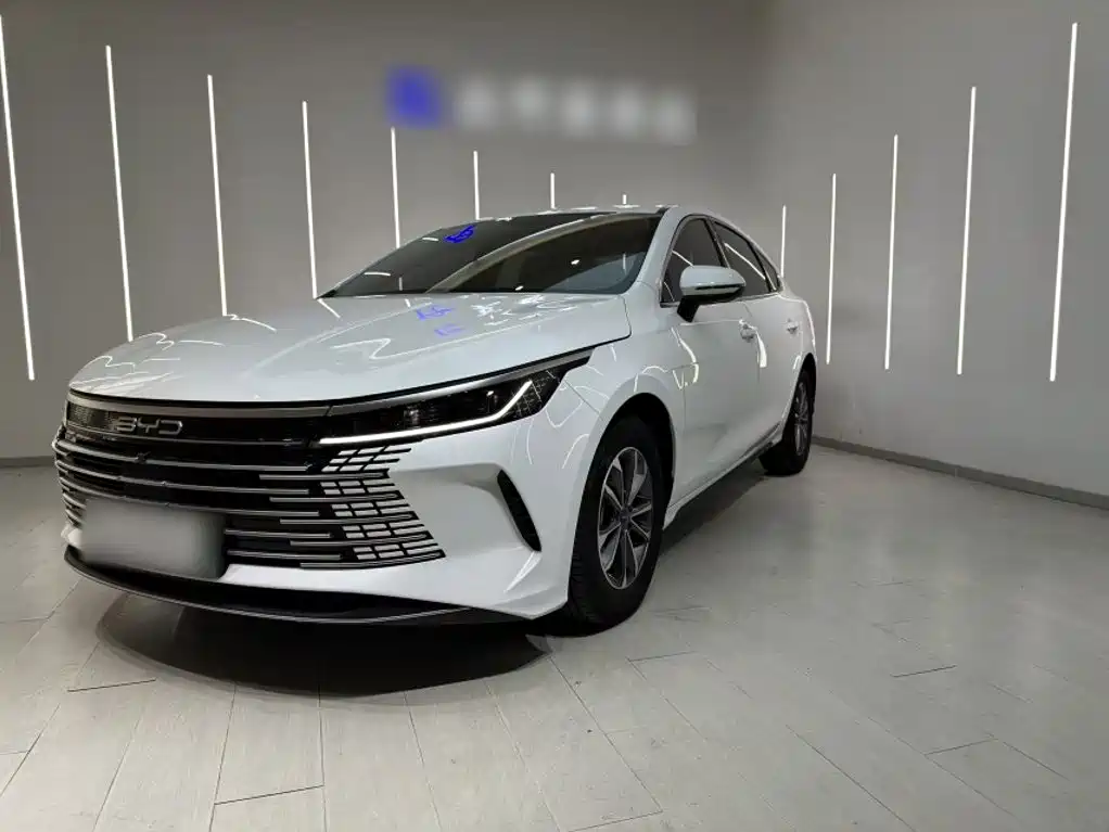 BYD Destroyer 05 2025 2024 Glory Edition DM-i 55KM Luxury
