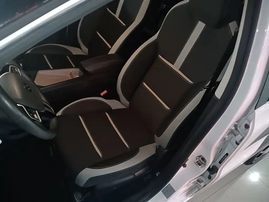 Sehol Flower Fairy 2021 2021 302km Luxury Edition 31.4kWh
