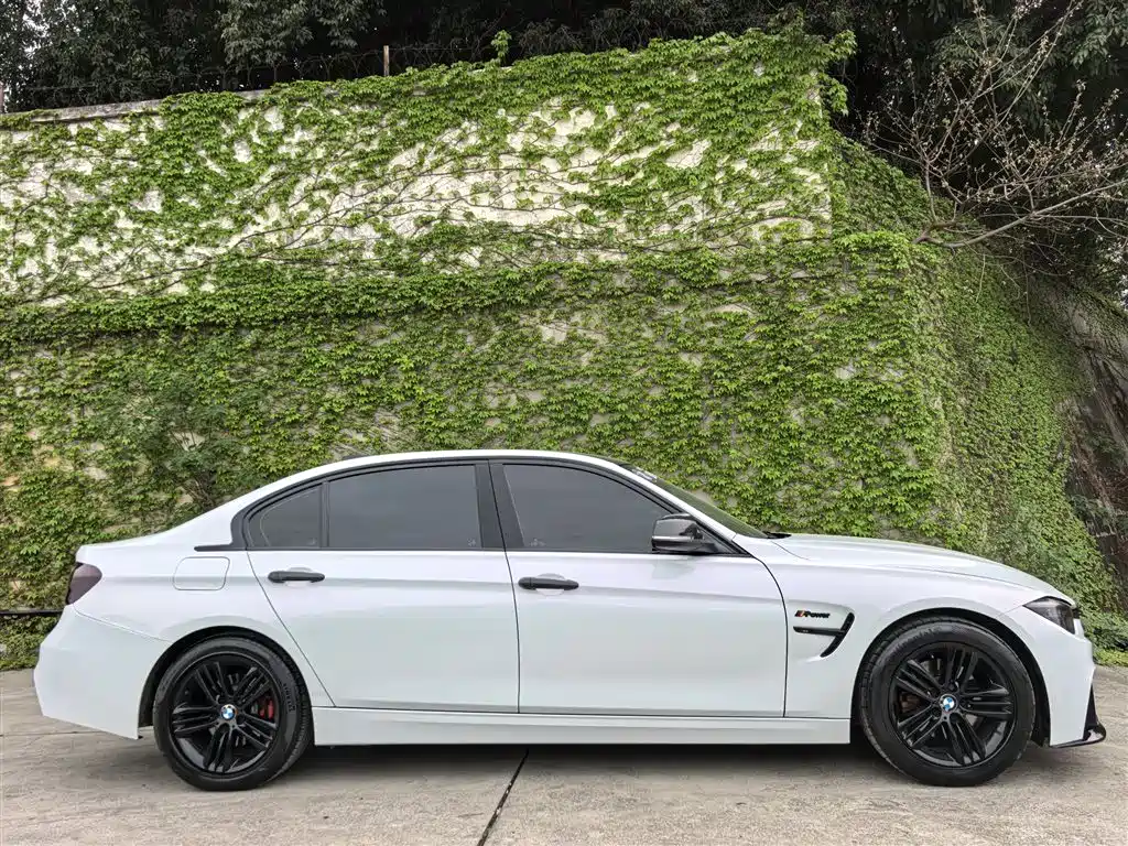 BMW 3 Series 2017 320Li Fashion фото 23