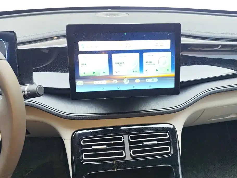 BYD Qin PLUS 2024 Glory Edition DM-i 55KM Leading фото 13