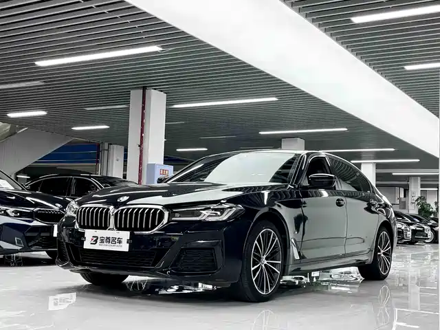 BMW 5 530Li, Лидер, M Спорт-пакет