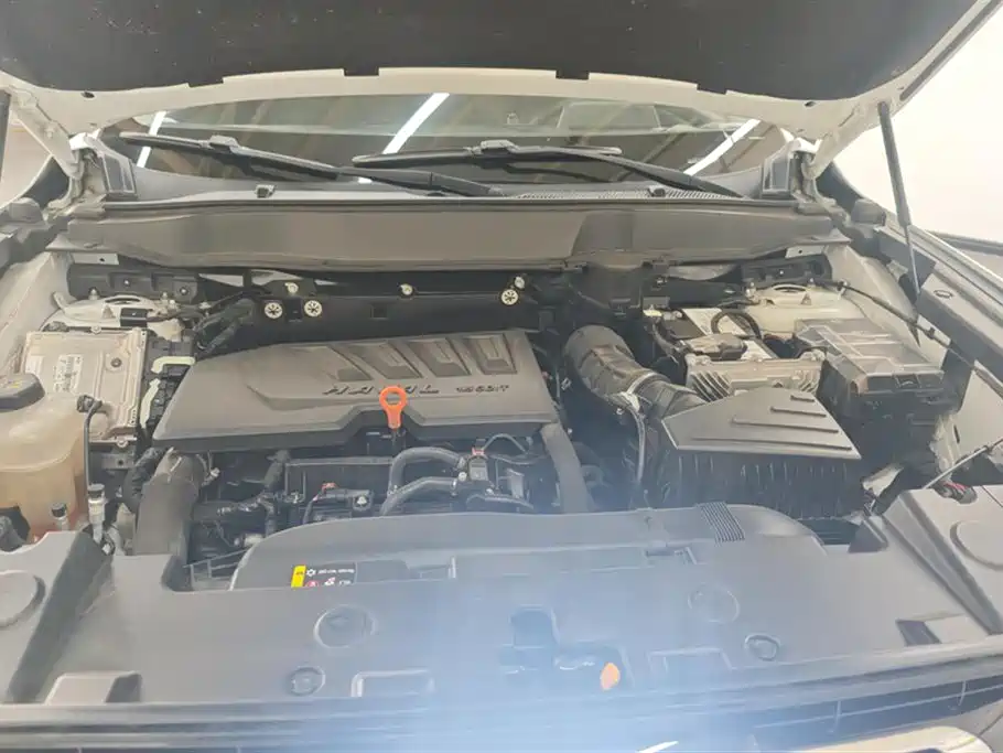 Haval Big Dog 2021 1.5T DCT 2WD Border Collie Edition фото 10
