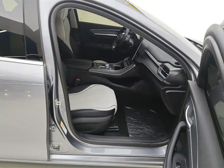 BYD Destroyer 05 2024 Glory Edition DM-i 55KM Luxury фото 8