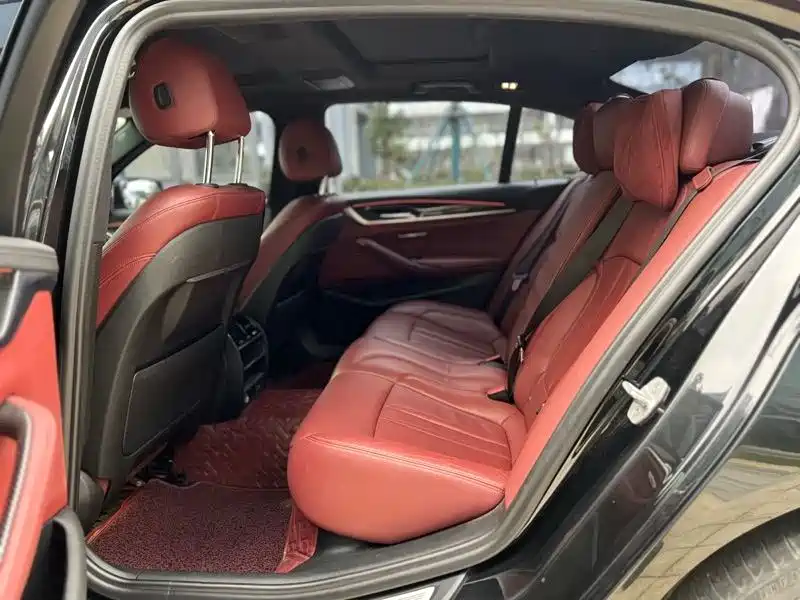 BMW 5 Series 2020 530Li Leading M Sport Package фото 7