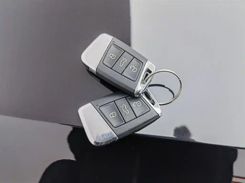 Volkswagen Magotan 2019 330TSI DSG Luxury China V фото 19