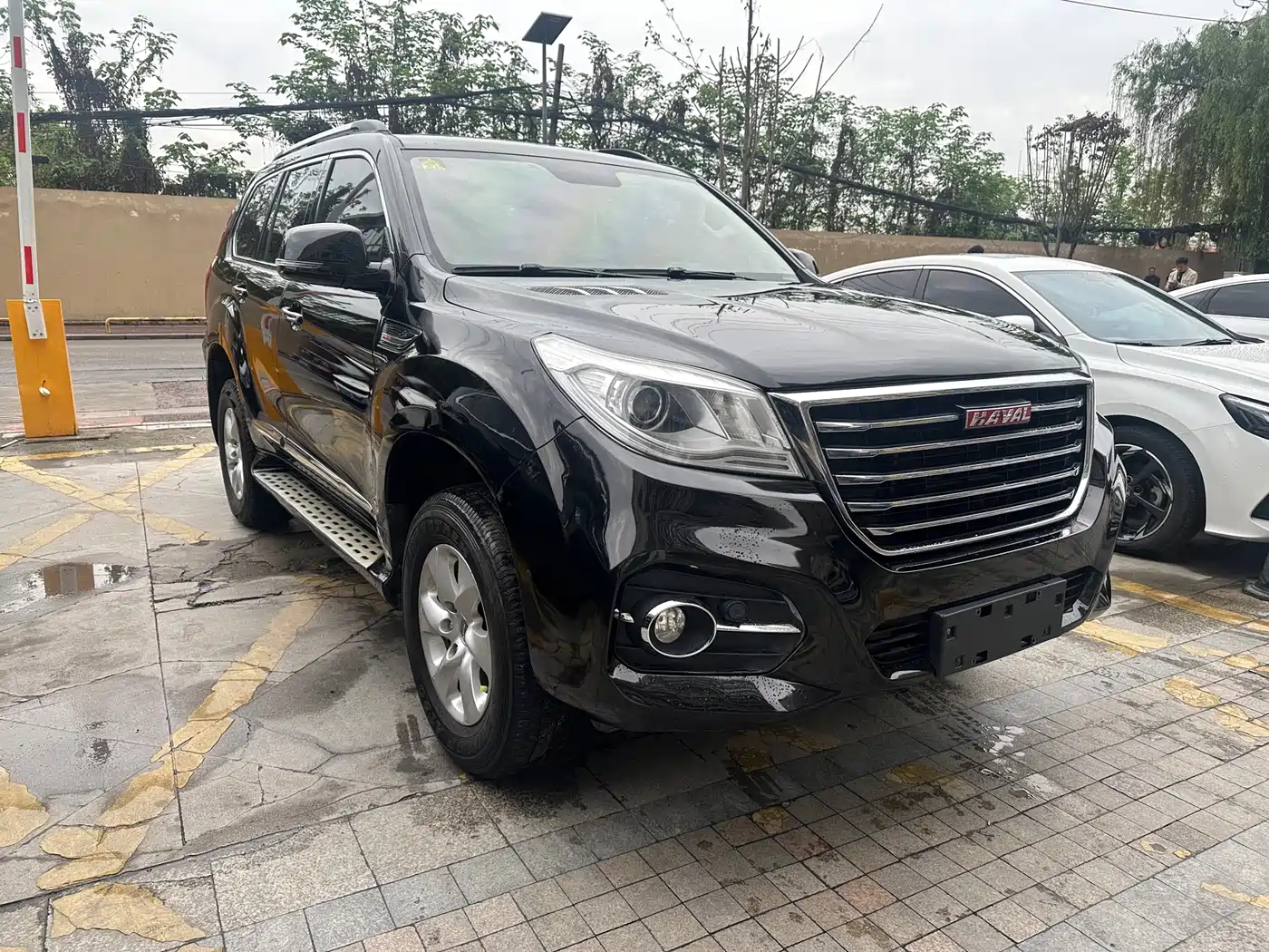 HAVAL H9