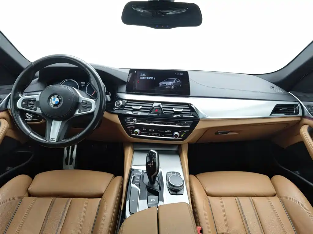 BMW 5 Series (Import) 2018 525i M Sport Package фото 5