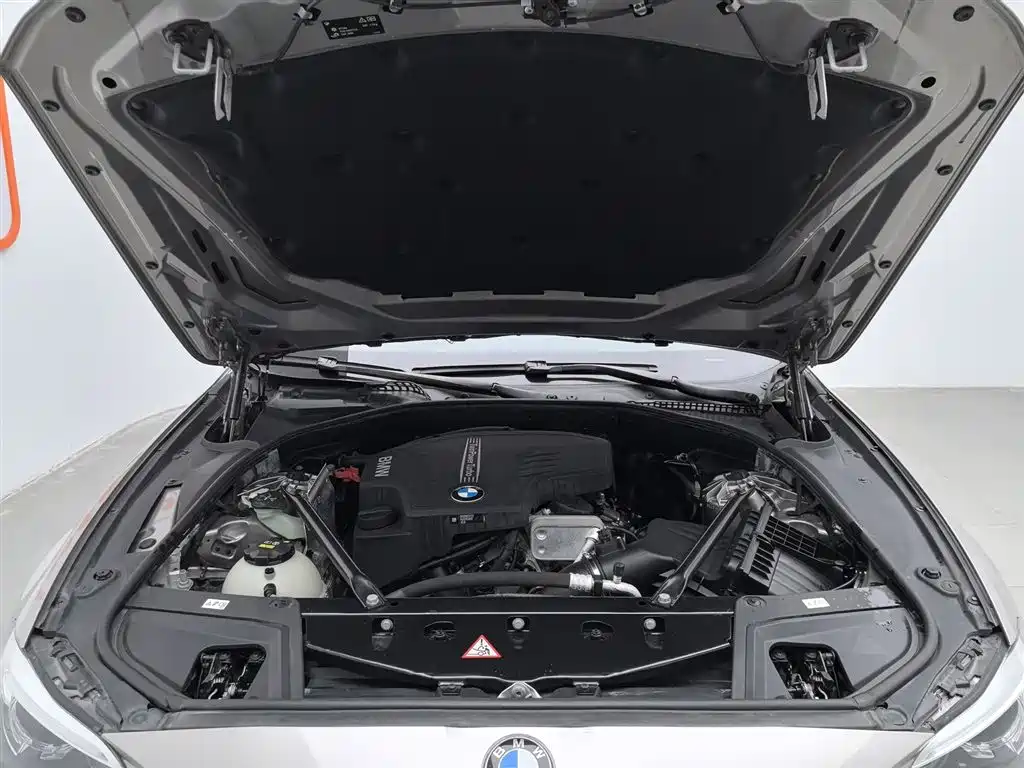 BMW 5 Series 2017 520Li Classic Edition фото 6