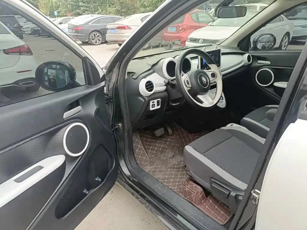 Ora Black Cat 2022 2022 Facelift 301km Pet Edition LFP Version