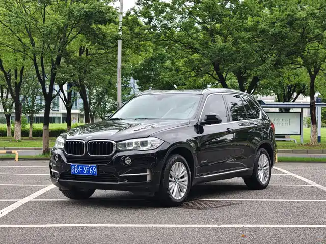 BMW X5 (Import) 2014 xDrive35i Leading — фото 1