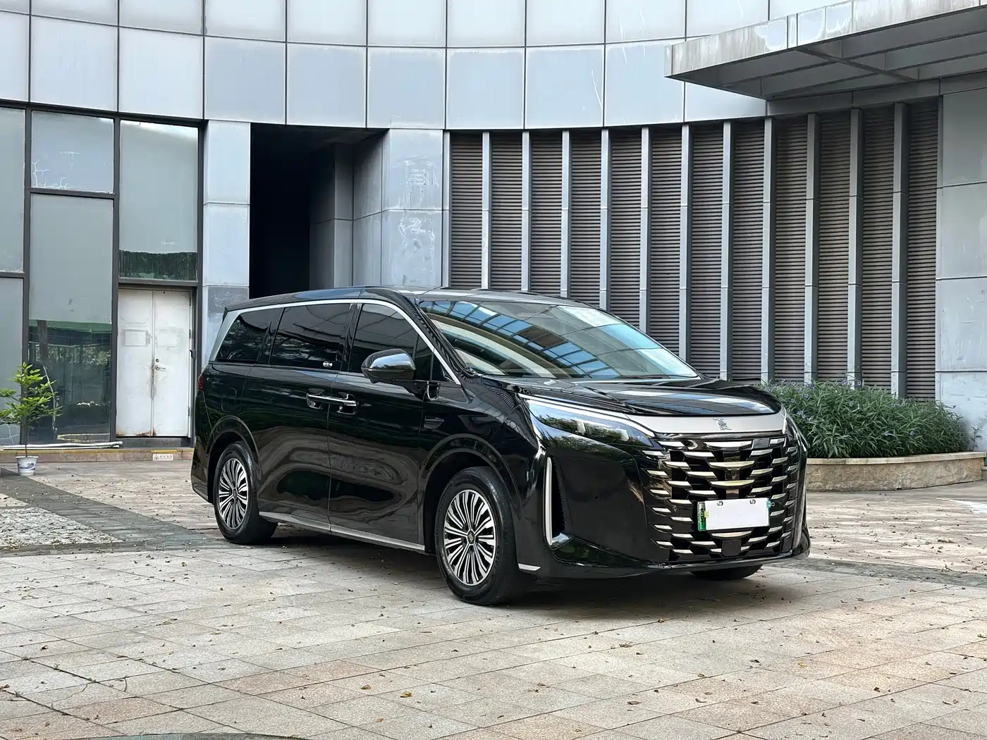 BYD Xia 2025 2025 DM-i 1.5T 100km Leading Edition