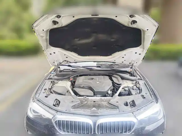 BMW 5 Series 2019 525Li Luxury Package — фото 3