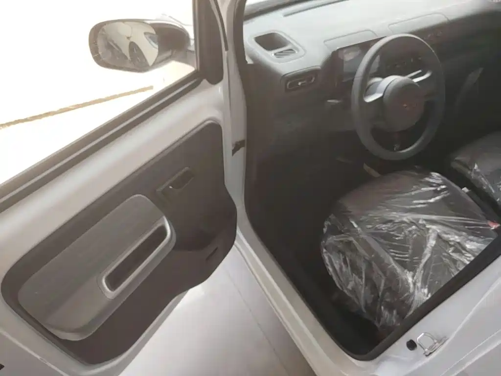 Wuling Motors Wuling Zhiguang NEV 2026 2025 Model 305km Base Version