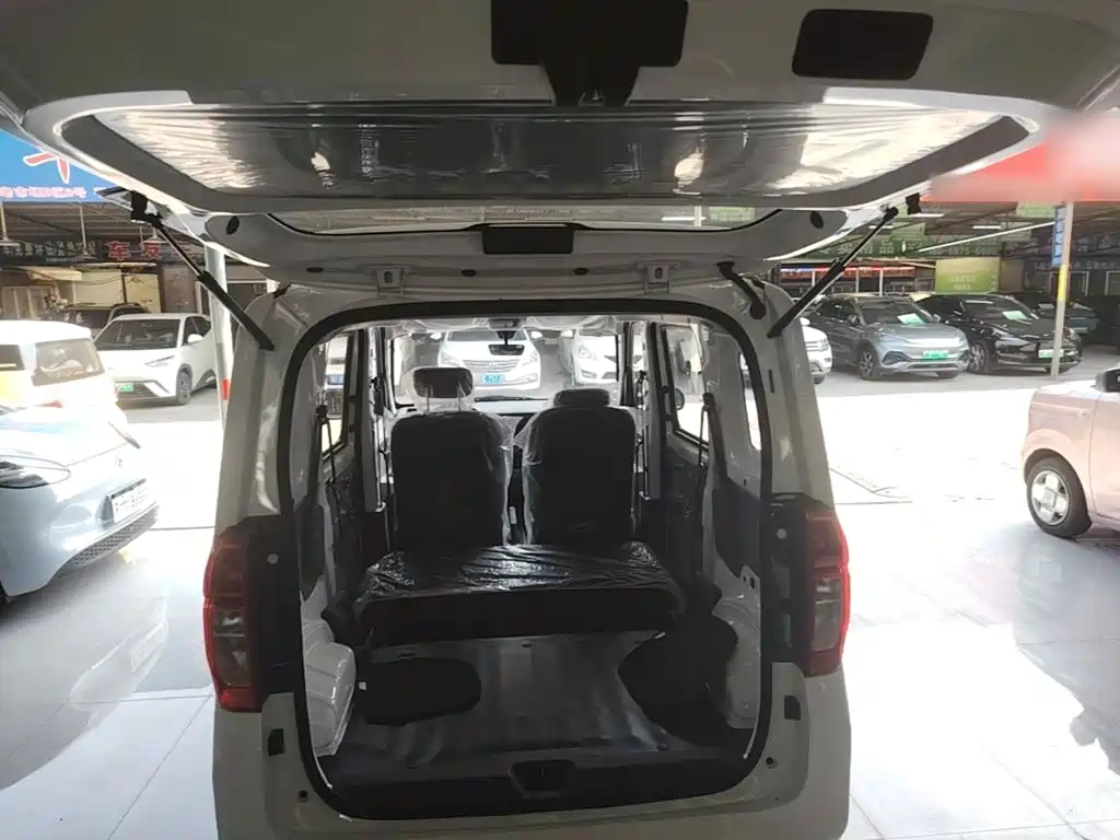 Wuling Motors Wuling Zhiguang NEV 2026 2025 Model 305km Base Version
