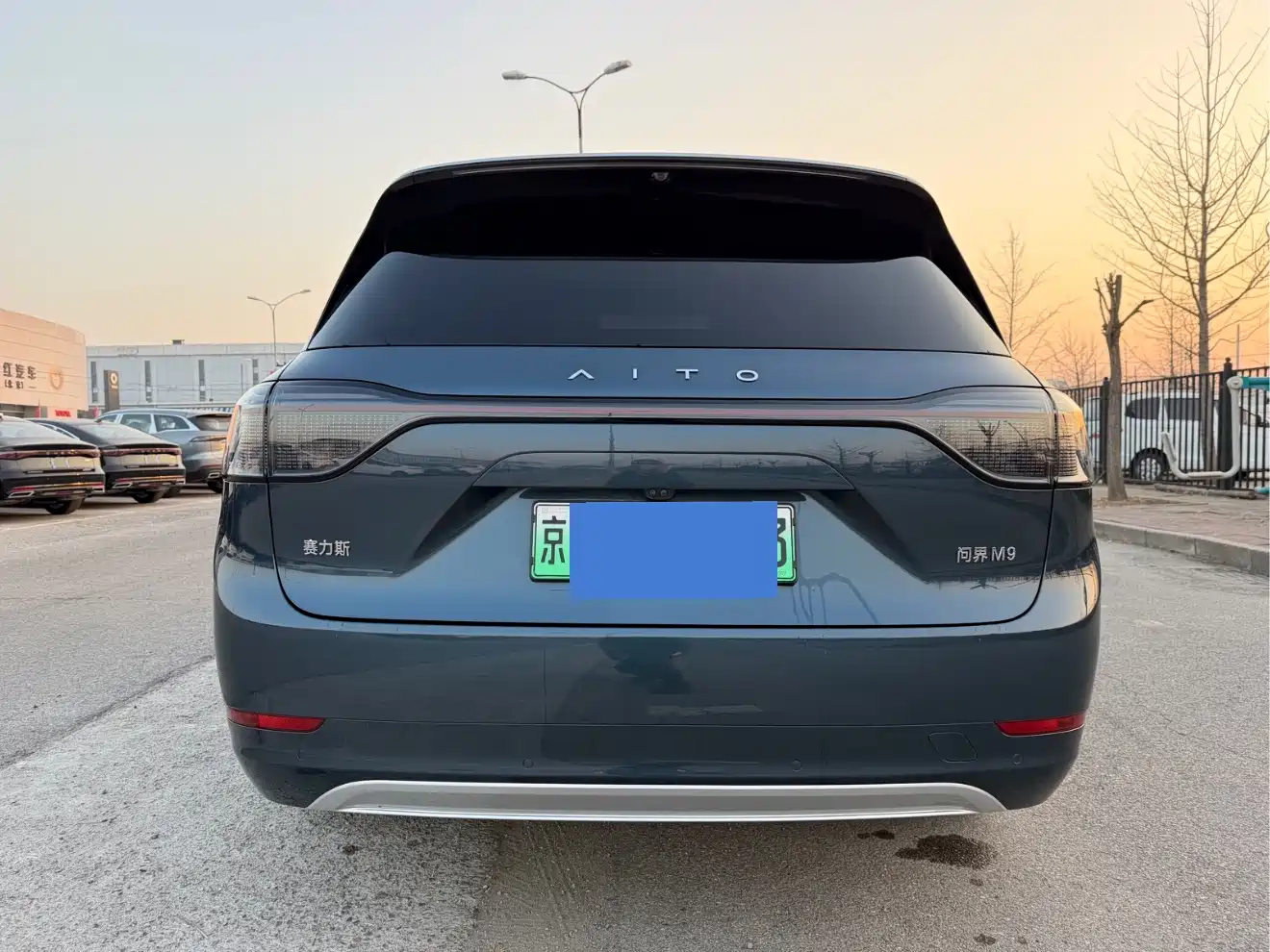 AITO Wenjie AITO M9 2024 Range Extender Ultra 52kWh 6-seater фото 48