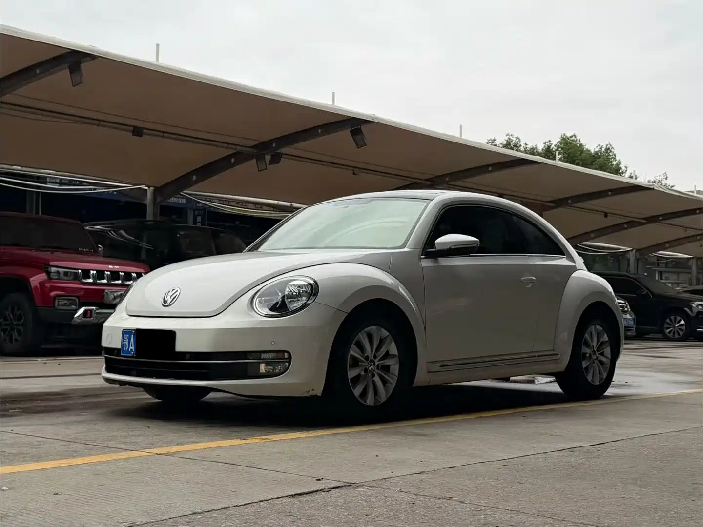 Фото 1 - Volkswagen Beetle