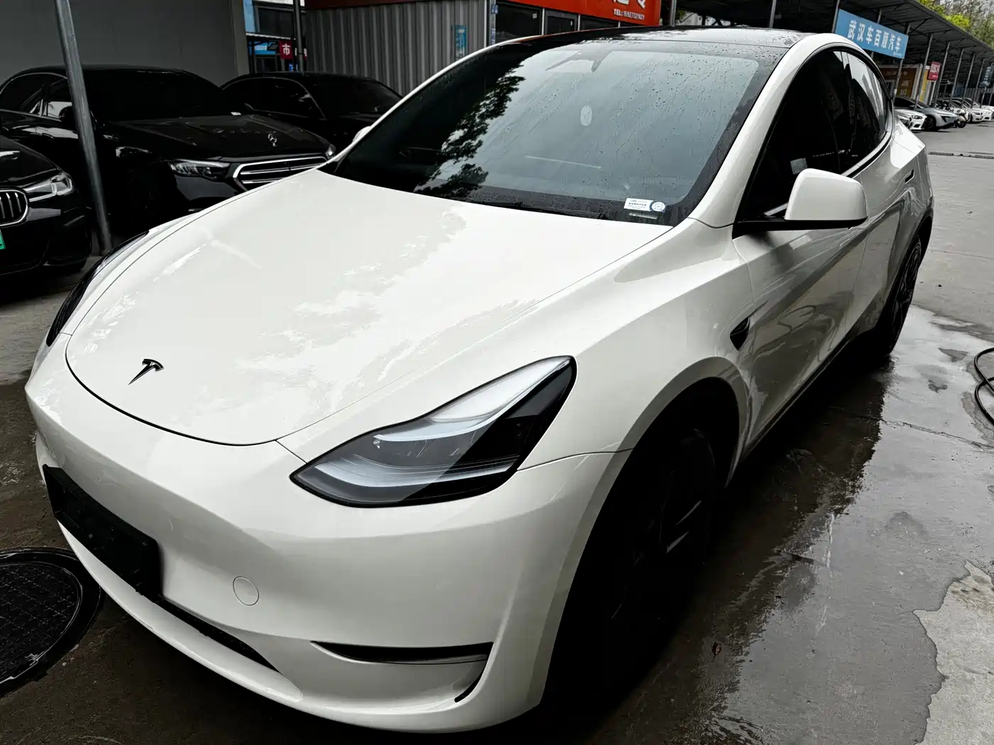 TESLA MODEL Y