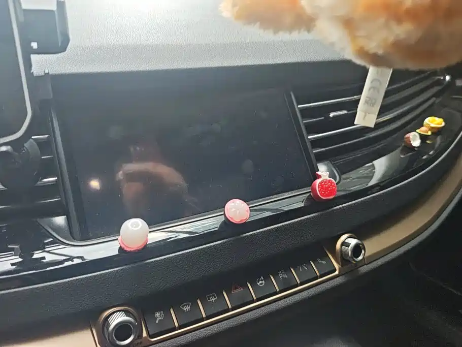 Фото 13 - Haval H6