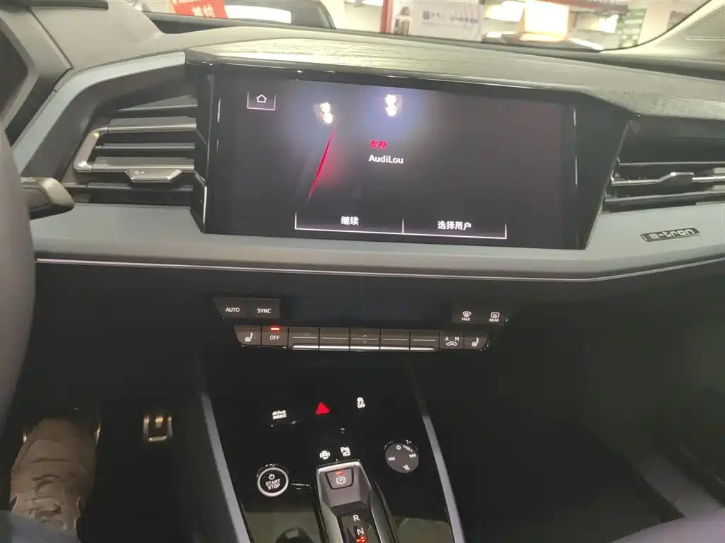 Audi Q5 e-tron 2022 40 e-tron Starlight Edition Brocade Package фото 13