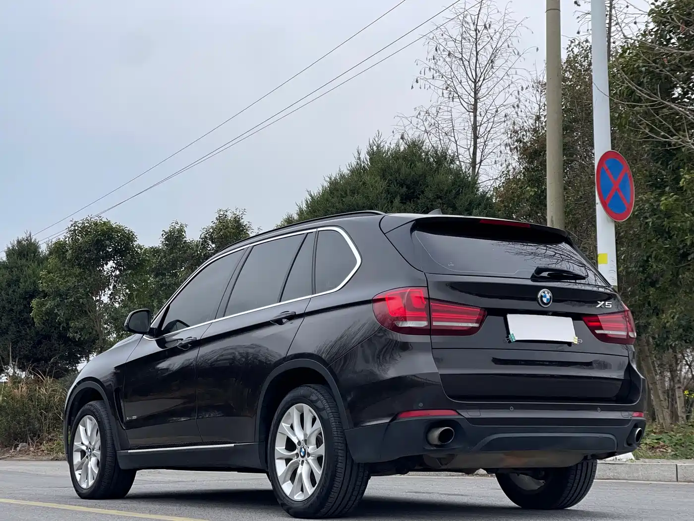 BMW X5 (Import) 2014 xDrive35i Elegance фото 5