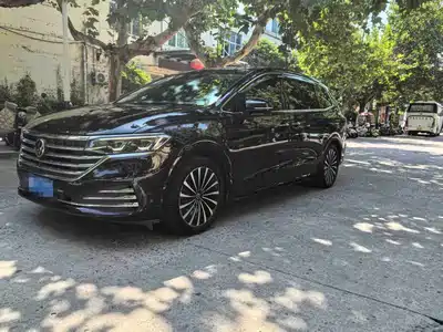 Volkswagen Viloran