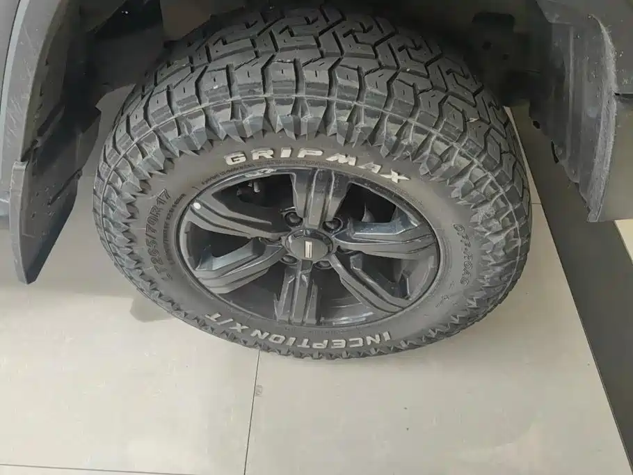 Tank 300 2021 2021 Off-road Version 2.0T Conqueror
