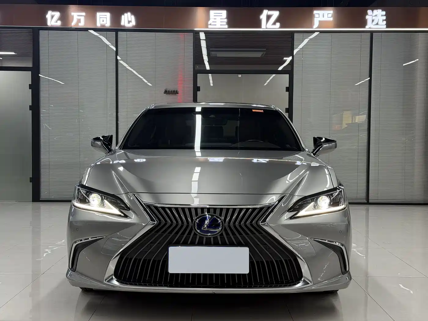Lexus ES 2020 Model 300h Excellence Edition фото 2