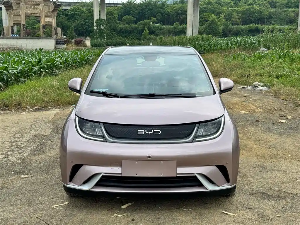 BYD Dolphin 2025 420km Fashion Edition фото 2