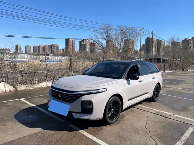  Baojun Baojun Valli 2021 1.5T Yili Ranch CVT Luxury