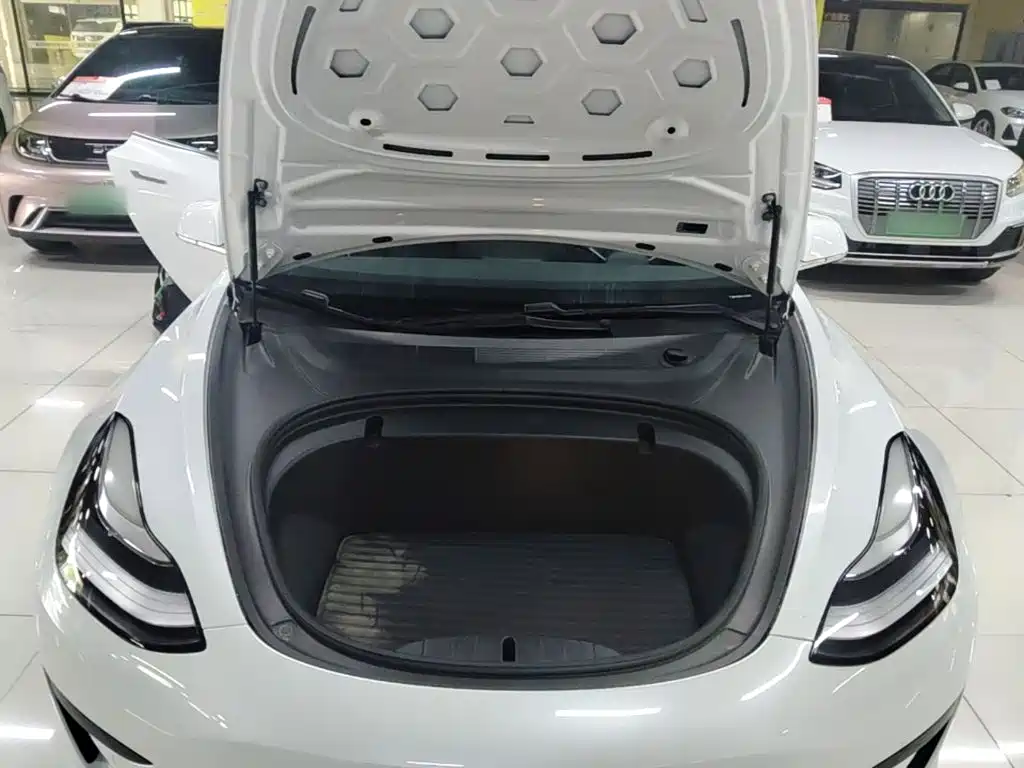 Tesla Model 3 2020 2020 Standard Range Rear-Wheel Drive Upgrade
