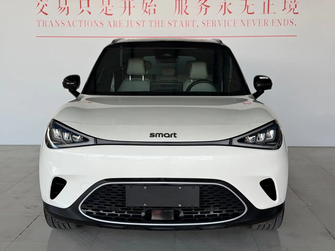Фото 2 - smart Elf #1