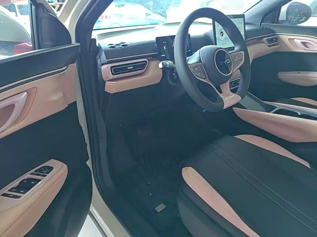 BYD Seagull 2026 2025 Smart Drive Edition 305km Vitality Version