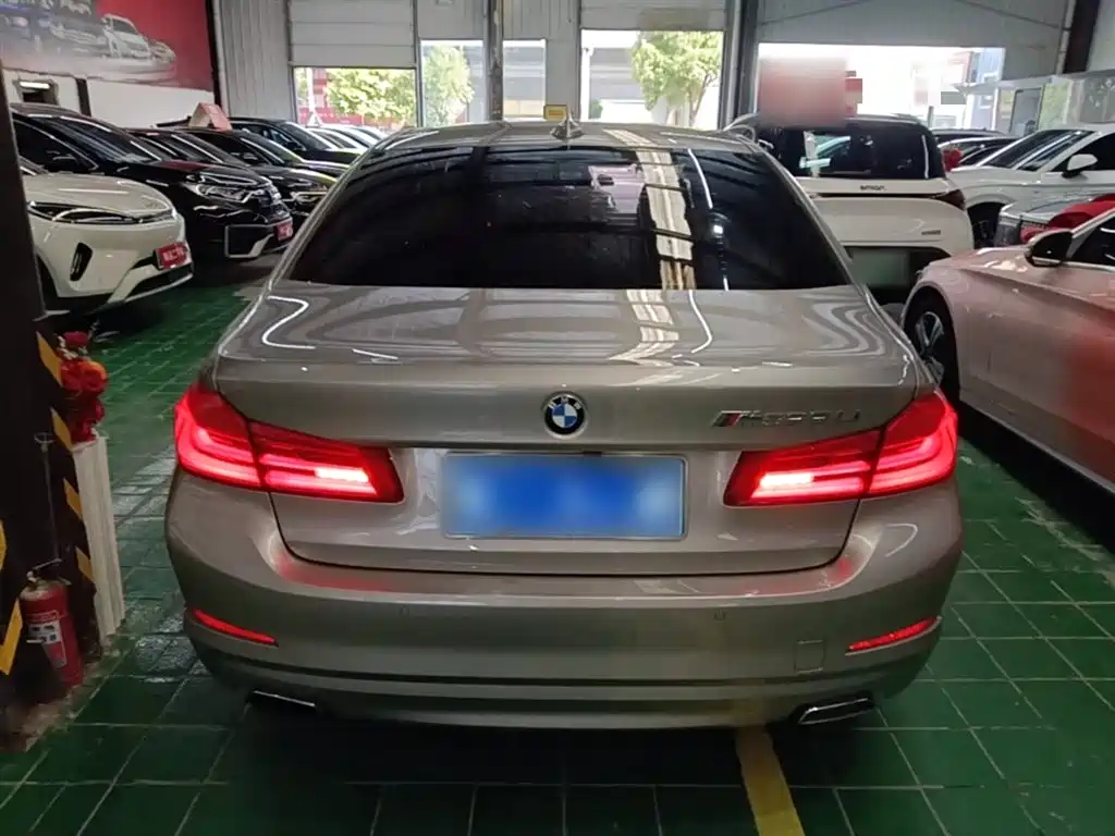 BMW 5 Series 2018 528Li Launch Special Edition фото 6