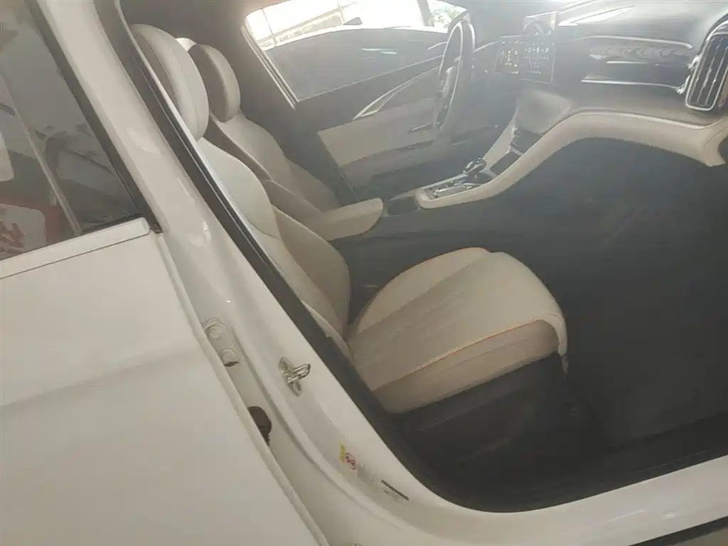 BYD Song Pro New Energy 2024 Glory Edition DM-i 71KM Pilot фото 25