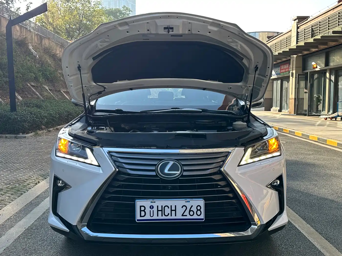 Lexus RX 2016 300 2WD Elite Edition (China V) фото 13