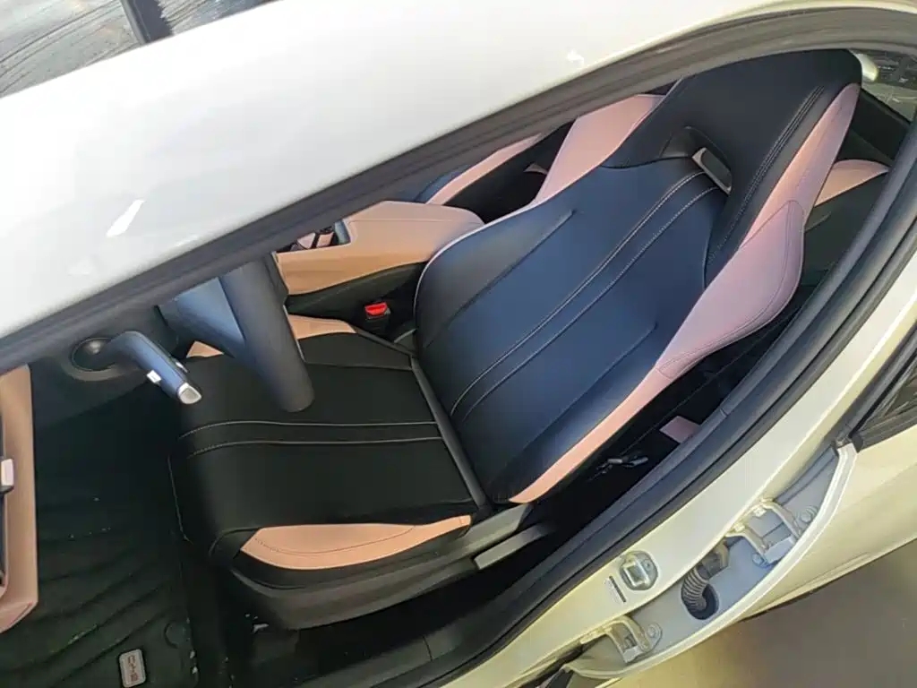 BYD Seagull 2026 2025 Smart Drive Edition 305km Vitality Version