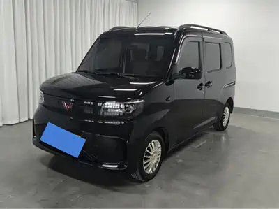 Wuling Sunshine